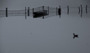 Hangzhou - West Lake