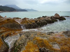 P1010814small - Lamma