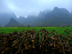 P1010955small Yangshuo karst logs
