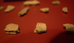 Oracle bone fragments, Anyang